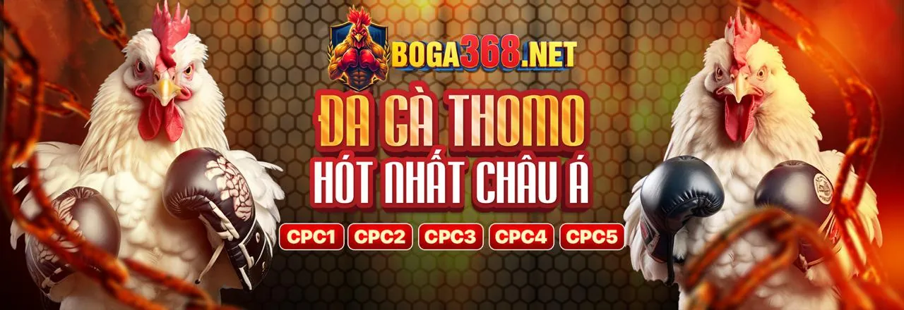 Hình ảnh chính sách cá cược có trách nhiệm của sinbet