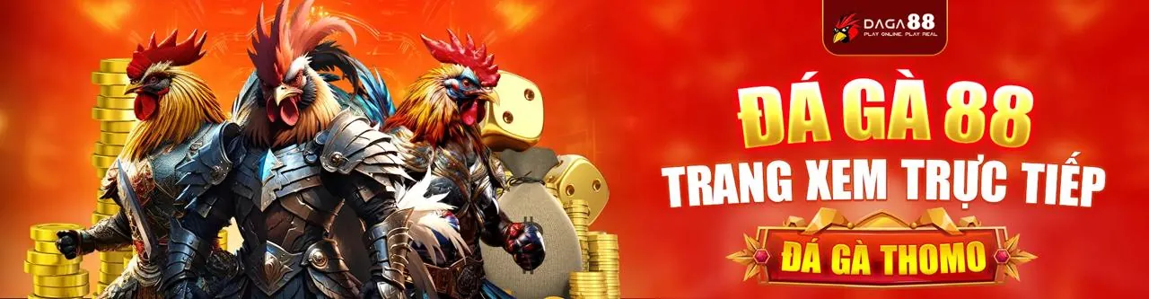 Đá gà trực tuyến Sinbet