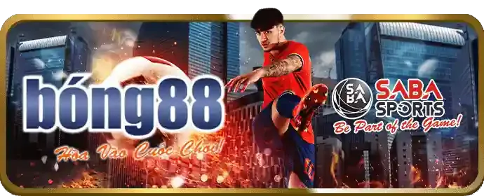 Hỗ trợ khách hàng sinbet
